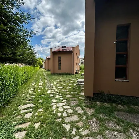 зора
